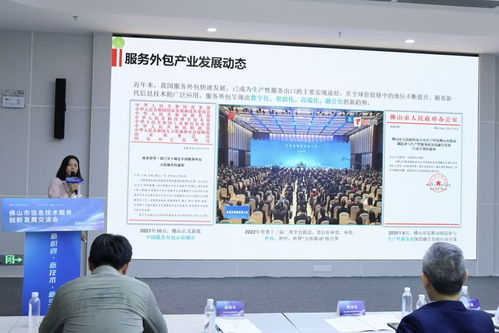數(shù)字產(chǎn)業(yè)新動力，軟件外包新篇章——佛山信息技術(shù)服務(wù)創(chuàng)新發(fā)展交流會側(cè)記
