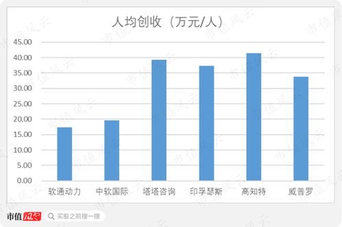 軟通動力 私有化后的曲折上市路，軟件外包巨頭能否借注冊制圓夢？