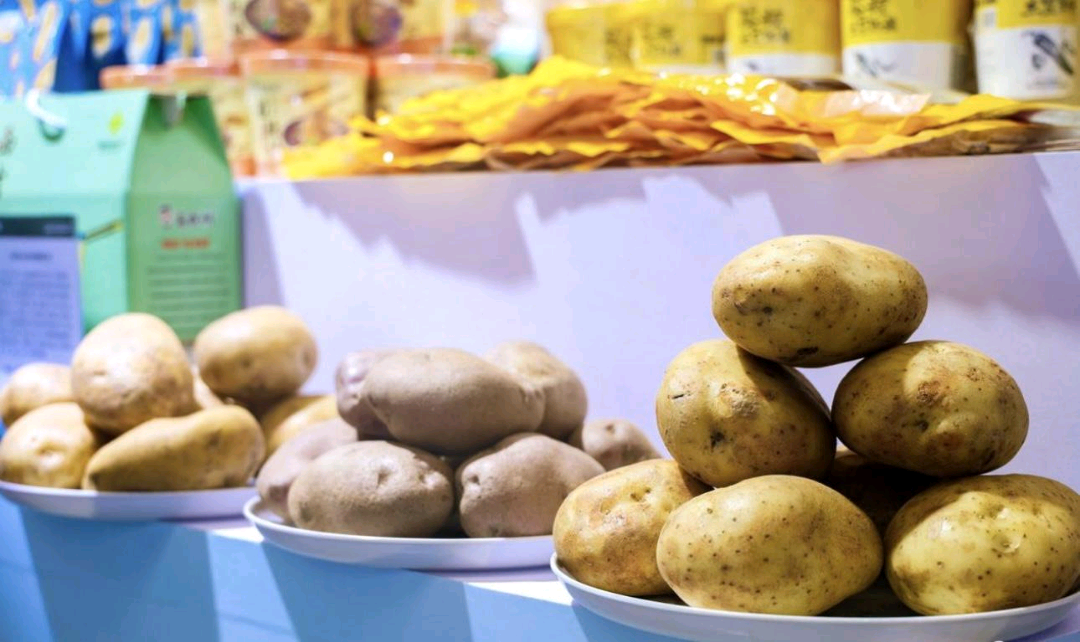 寧夏固原特色農(nóng)文旅亮相深圳 食品集中加工受矚目