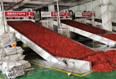 四川華景智農(nóng) 定制專屬于您的農(nóng)產(chǎn)品烘干設(shè)備，賦能食品集中加工新紀(jì)元